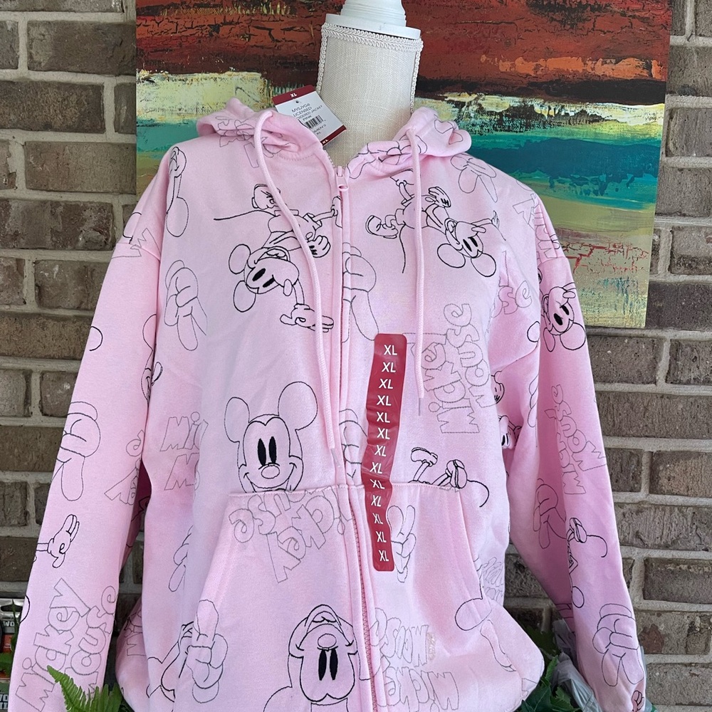 Disney Pink Hoodie